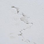 Trust Our Water Damage Restoration London Technicians for 5-Star Results