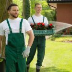 Why Professional Lawn Care Services Are Worth Every Penny