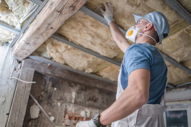 Attic Insulation Options to Keep Your Home Comfortable Year-Round