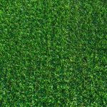 Enjoy a Stunning Lawn in Chandler with Apex Turf Artificial Grass