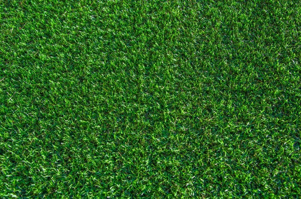 Enjoy a Stunning Lawn in Chandler with Apex Turf Artificial Grass