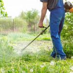 Experienced Lawn Care Service for Perfectly Maintained Lawns