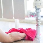 Affordable Pet Grooming in Port St. Lucie Without Cutting Corners