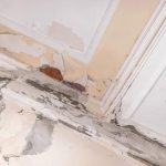 Choosing the Right Colorado Public Adjuster for Your Property Damage Case