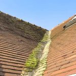 Affordable Longview Roofing Services for Homes & Businesses
