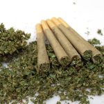 Discover Pre Rolls That Stand Out for Quality and Freshness