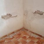 Fast & Reliable Bear Restoration Services for Your Home