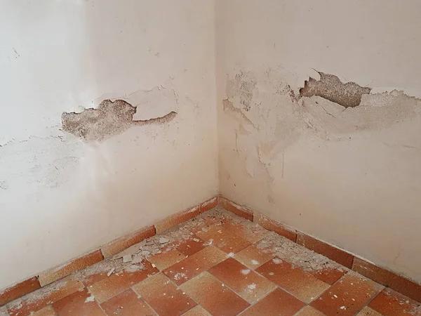 Fast & Reliable Bear Restoration Services for Your Home
