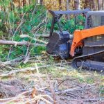 Trusted tree service auburn for Quality Tree Cutting Services