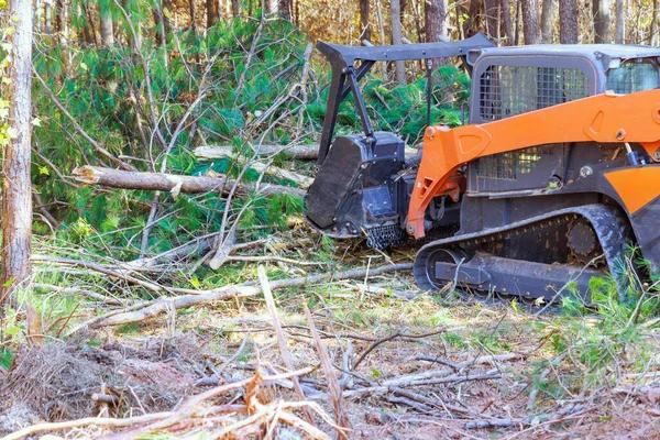Trusted tree service auburn for Quality Tree Cutting Services