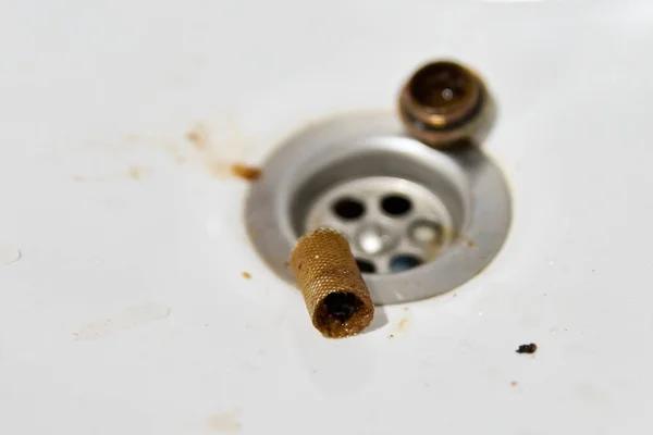 Comprehensive Septic System Service in Savannah for Better System Health