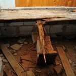 Trusted Professional Water Damage Restoration Services Near You