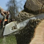 Local Tree Removal Service in Jackson MI for Any Size Project