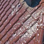 Roofing Services That Keep Your Home Protected