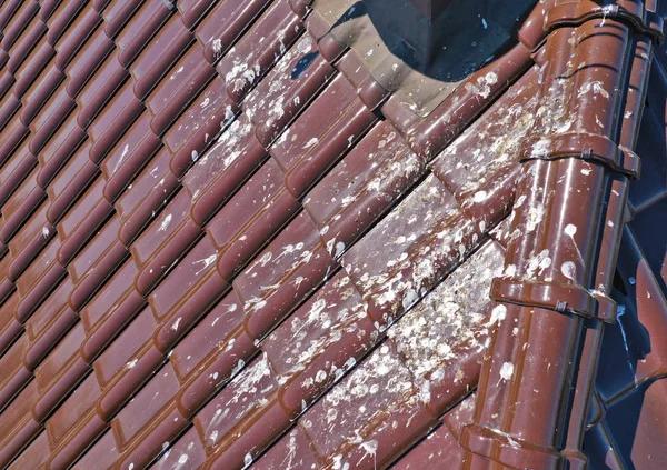 Roofing Services That Keep Your Home Protected