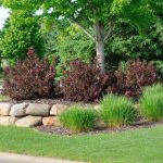 Transform Your Yard with Professional landscape design Sacramento Experts
