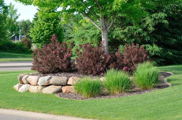 Transform Your Yard with Professional landscape design Sacramento Experts