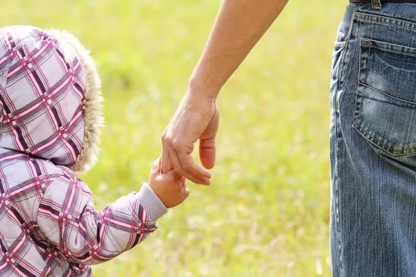 How Bankruptcy Affects Child Support What Every Parent Should Know