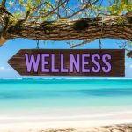 Best Natural Ingredients for a Stronger Immune System