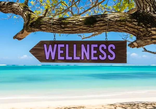 Best Natural Ingredients for a Stronger Immune System
