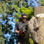 Affordable Tree Service Near Me for Complete Tree Care